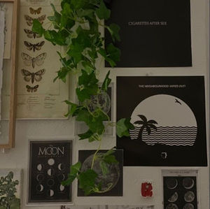 Meet your Posher, Maria clara